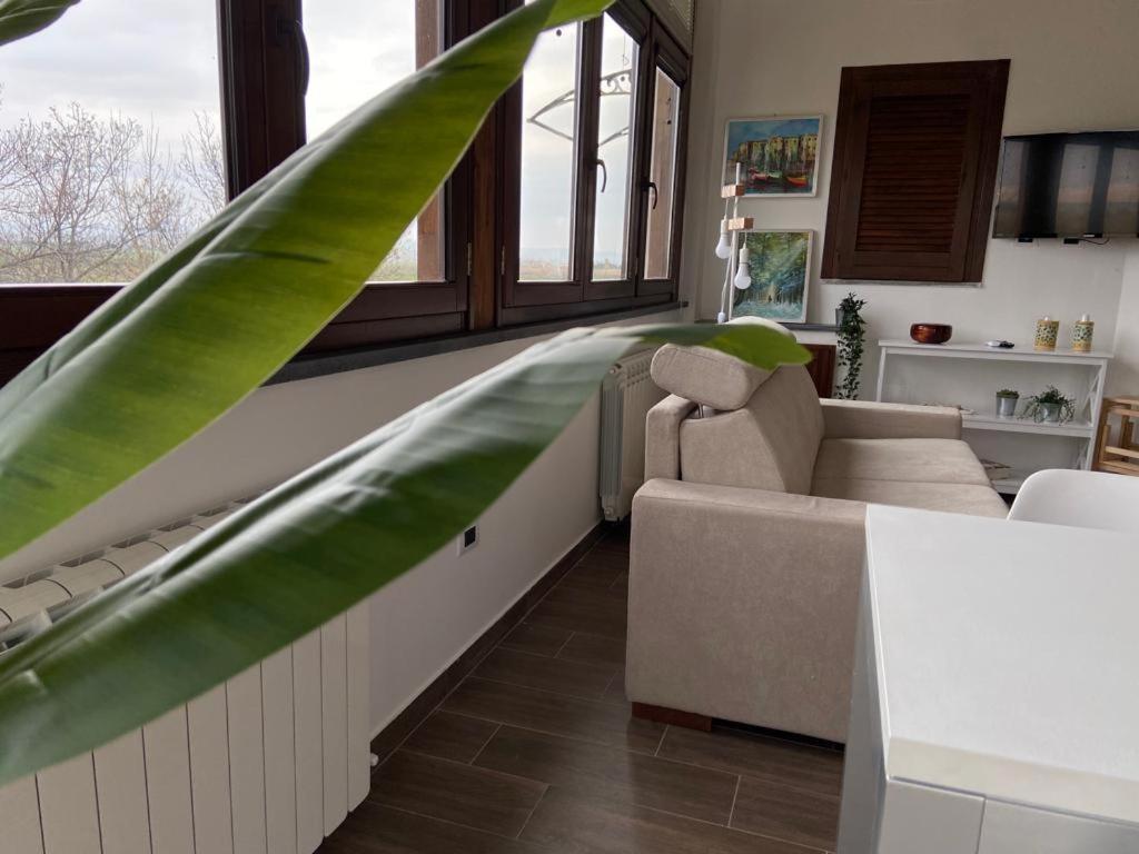 Villa Rosella Appartamento 2 - Con Piscina - 150 M Dal Mare Casa Margherita Zewnętrze zdjęcie